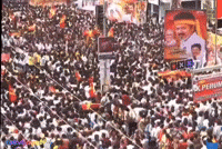 Thalapathy Vijay GIF