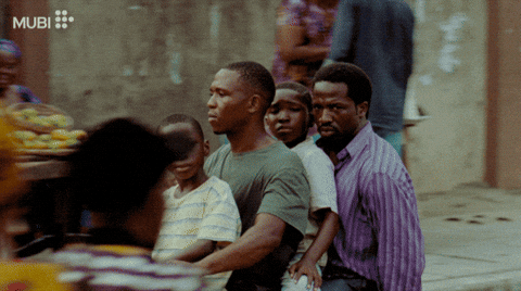 Film Cinema GIF by MUBI