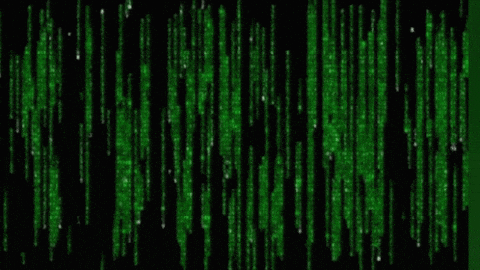 Interactiveiee giphyupload GIF
