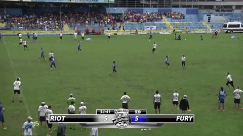 flikulti ultimate frisbee flik GIF