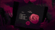 Music Video Art GIF