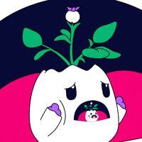 Oh No Omg GIF by Magic Eden