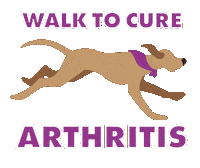 Dog Walk Sticker by Arthritis Foundation