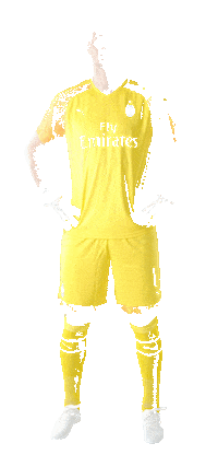 Goalkeeper Gloves Sticker by AB1GK
