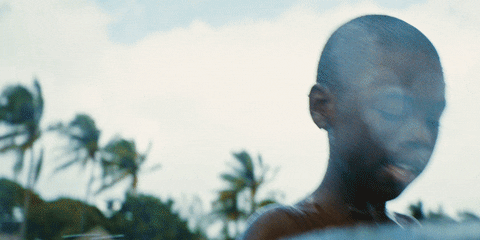 Barry Jenkins Swimming GIF by A24