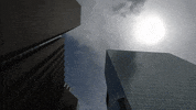 Education Vocabulary GIF by DIIMSA Stock