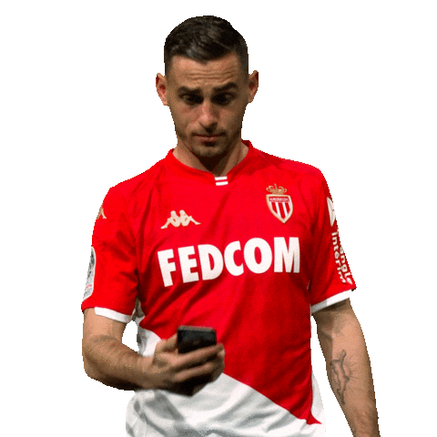 Ligue 1 Football Sticker by AS Monaco
