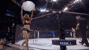Mixed Martial Arts Sport GIF by UFC