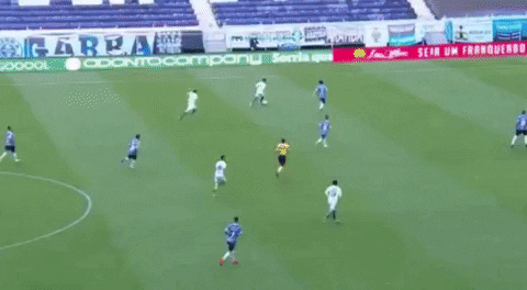 cartoleiros futebol brasileirao golaco raphael veiga GIF