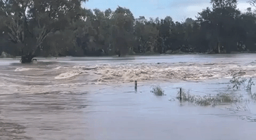 Flash Flooding Forces Evacuations in Parts of New South Wales