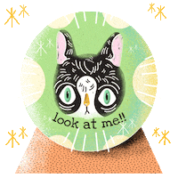 valentinazummo cats magic magia gatto Sticker