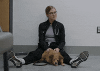 Dog Pet GIF by slicedbread