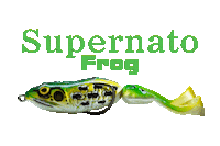 Frog Sticker by molix