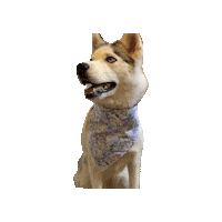 Little Mermaid Ariel Sticker by Geekster Pets