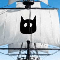 Black Cat Logo GIF by VeeFriends