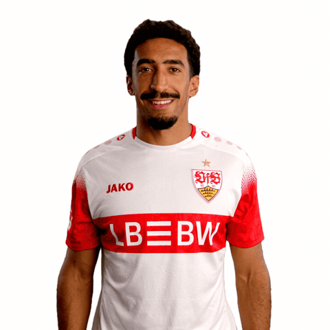 Lets Go Yes GIF by VfB Stuttgart 1893