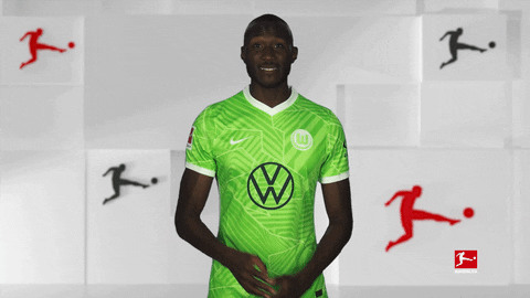 Vfl Wolfsburg Football GIF by Bundesliga