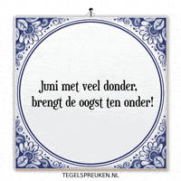 Humor Storm GIF by Tegelspreuken.nl