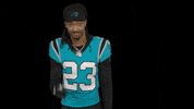 Think I Got You GIF by Carolina Panthers