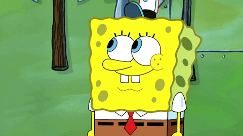 season 9 GIF by SpongeBob SquarePants