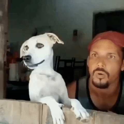 dynamicsprocess giphyupload GIF