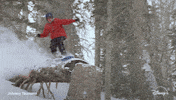 Snowboarding Johnny Tsunami GIF by Disney+