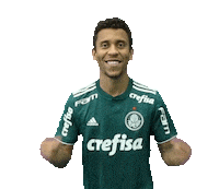 te amo love Sticker by SE Palmeiras