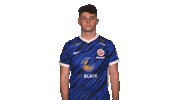 Hansa Rostock Fifa Sticker by Bundesliga