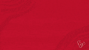 Nfl Drop Down GIF by Houston Texans