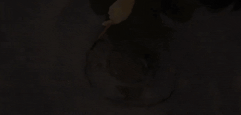 Ceciliavicuna GIF by UnionDocs