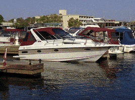 boats GIF