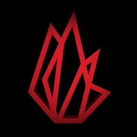 Free Speech Fire GIF by TheFIREorg