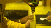 portugal festa GIF by Licor Beirão