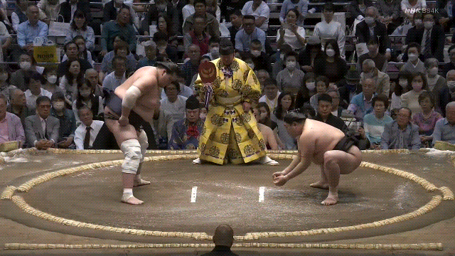TZ85 giphyupload sumo abi 2023 natsu basho GIF
