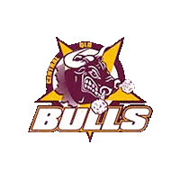 Nyc Bulls Sticker by Touch Football Australia