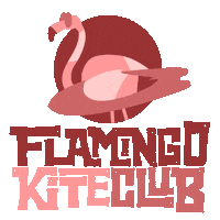 Kitesurf Sticker by Flamingo Kite Club