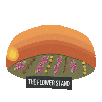 theflowerstand716 flowers sunflowers watering can 716 Sticker