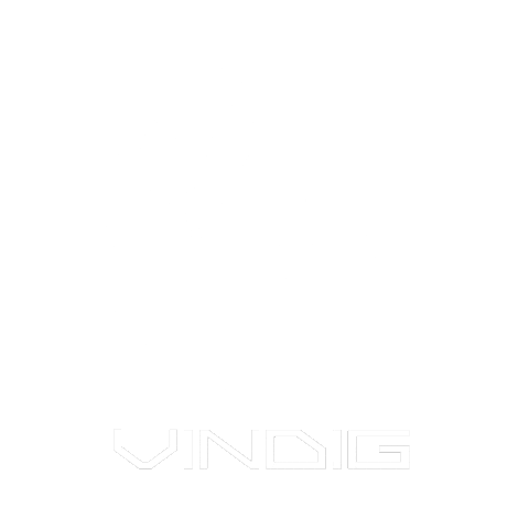 VinDig vinyl recordplayer vindig rollingeye Sticker