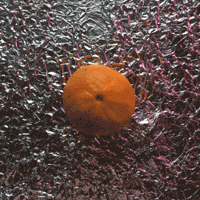 orange peel GIF by emily belshaw