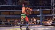 lucha libre mexico GIF