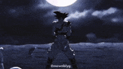 Manga Dragonball GIF
