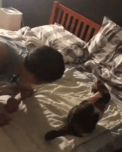 cuteanimalland giphyupload GIF