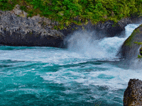 Suche Vergeben GIF by FranchiseONE.de