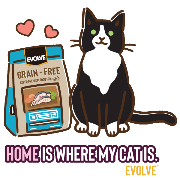 Evolve Tuxedo Cat Sticker by Sunshine Mills