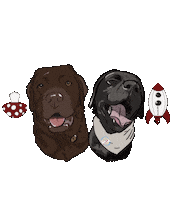 Custompp tr1 truffleandrocket Sticker