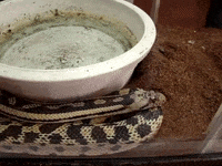 Earth Science Education GIF by DIIMSA Stock