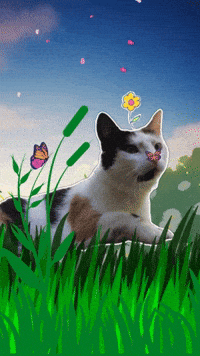anduzuul cat cartoon kawaii green GIF