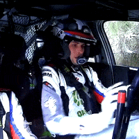 Driver Driving GIF by FIA European Rally Championship