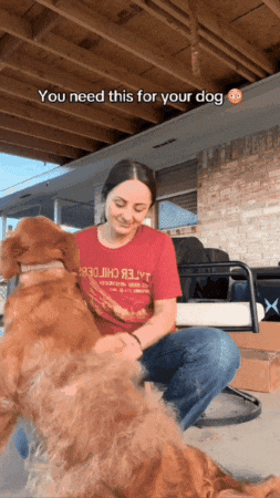 Your GIF