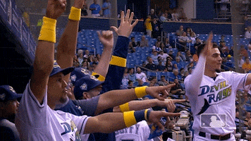 celebration rays GIF by MLB